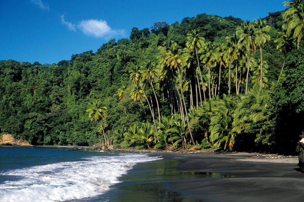 Paysage de la Martinique